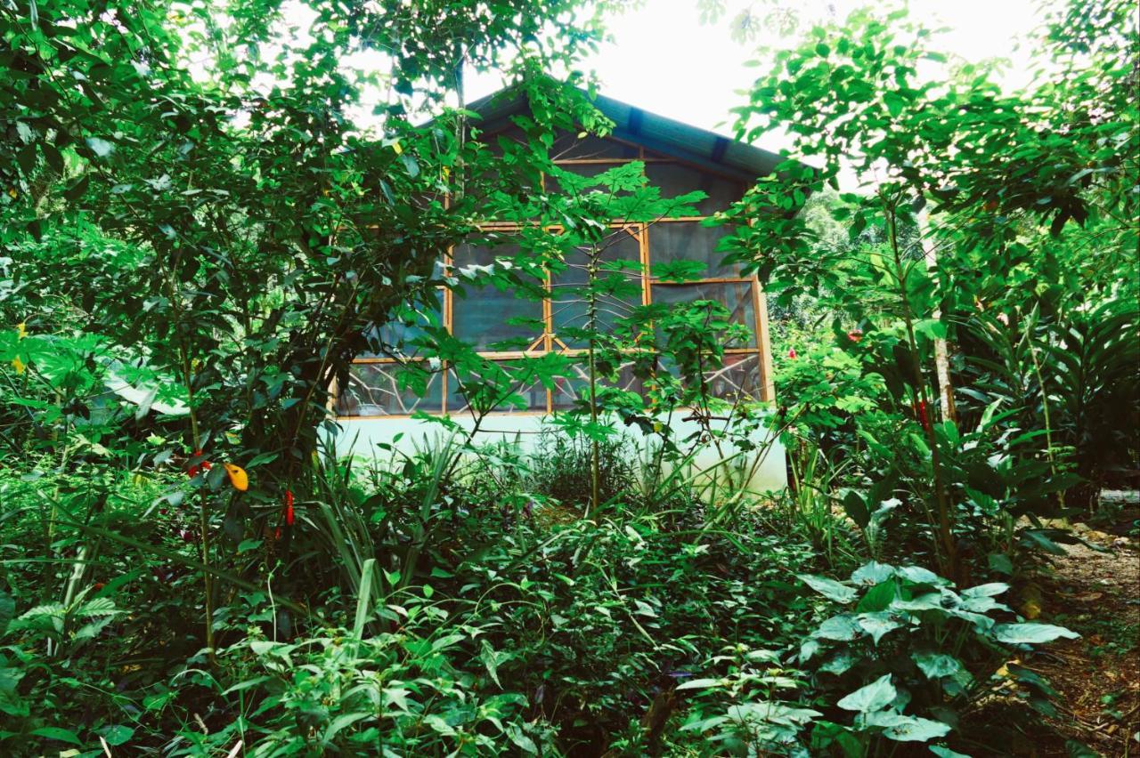 Alma Del Rio Eco-Comfort On The Water 산 이그나시오 외부 사진